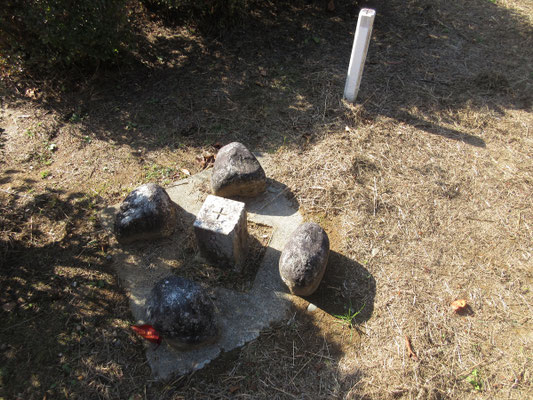 公園内に三角点がある