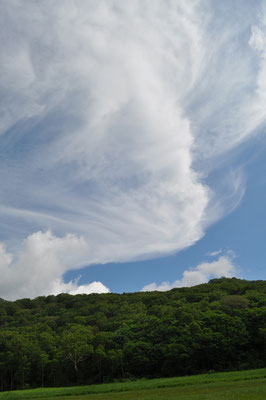 東電小屋を抜けると再び広い空の湿原へ