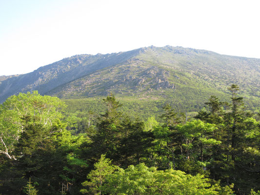 見上げると早池峰山が輝いている