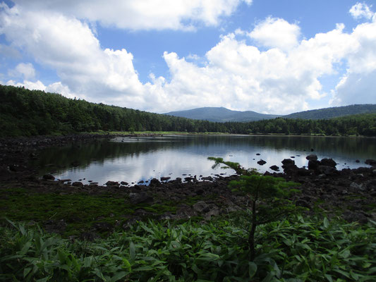 戻る途中、一番見晴らしが利く場所から雨池を見る