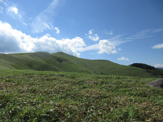 最後にもう一度、三峰山を振り返ると、なんとも優しいスカイラインをえがいている