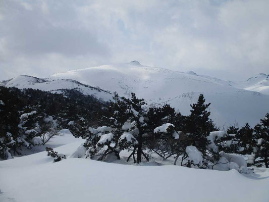 乳首山と呼ばれるまさにその山頂