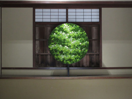 まっすぐに進み、中にはいるとこうした作品が！　緑の窓に見える（実は膨大な数の緑や花を敷き詰めたブリザードフラワー）