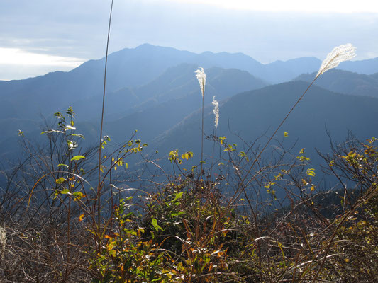 経ヶ岳から眺めた逆光の大山