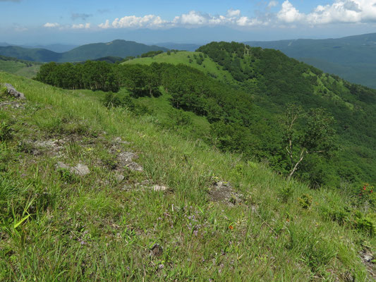これから向かう殿城山が近くに見える　右にこんもりと濃い緑の高い地点が山頂部