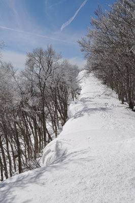 大明神に向かう稜線に積もった雪　布団のように覆いかぶさっている