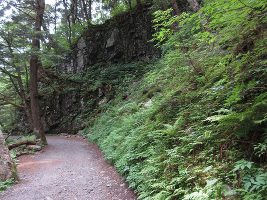 岩の壁へと続くこんな雰囲気の道