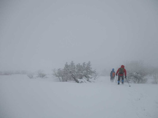 下山の判断で戻ります