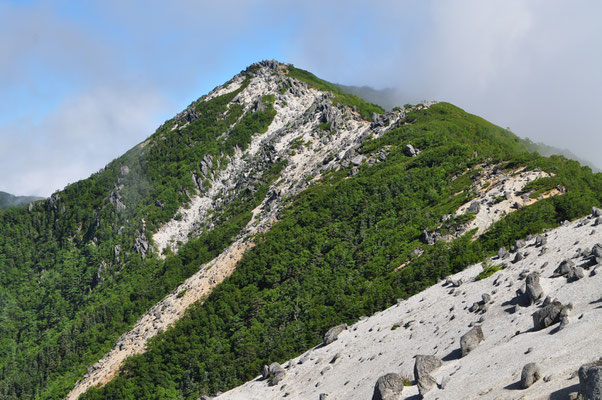 そして飛び出した薬師岳山頂からは鳳凰三山最高峰の観音岳がバーンと見えた　すぐに地面に陣取って描き始める