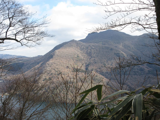 登るにつれ、眼下に芦ノ湖も見えてきて、対岸の神山・冠ヶ岳がいかにも火山らしく聳えてくる