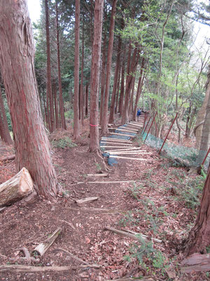 一段落つくと、こんどは急な階段の下りが続く　これらの階段は最近整備されたようだ