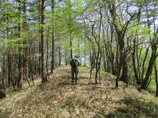 熱心に読図しながら道なき山を進むリーダー