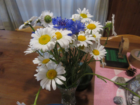 食卓の野の花