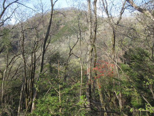 途中、ちょっとした脇道尾根にそれると、正面に石砂山が見えた