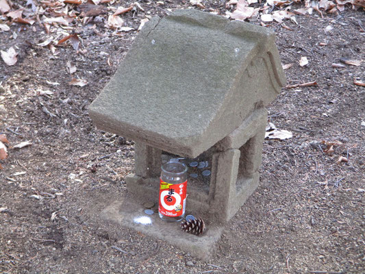 急斜面をこなし安心できる広い尾根を辿った先には「山の神」があります　ここまで来ればもう安心　皆で山の安全を感謝します　新年なのでどなたかが日本酒をお供えしたようです　会では塩を盛り、私が山で拾った松かさの実をお供えしました