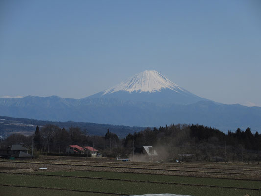 そして目を転じれば終日、富士山がババーン　でも山梨県側は雪が少なく剥げている！　神奈川から見える雪たっぷりの姿とは全く違っていた