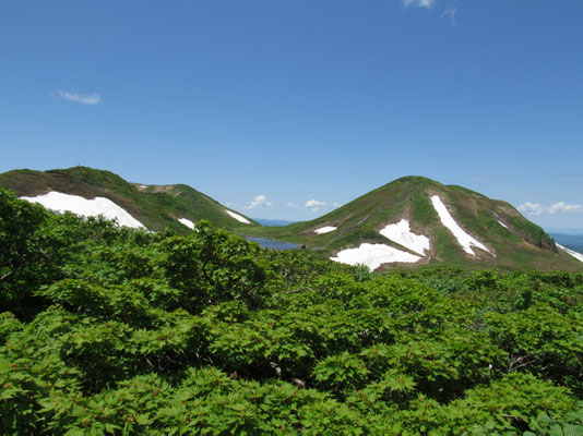 焼岳を下り樹林帯に戻ったときに見上げた秋田駒ヶ岳