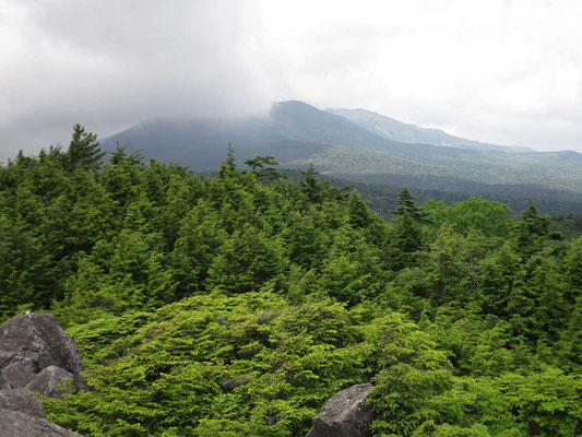 高見石から北側の茶臼山や縞枯山はガスがかかっていました