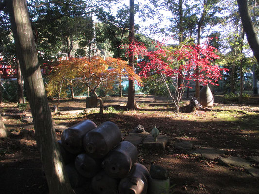 沓掛館山の紅葉