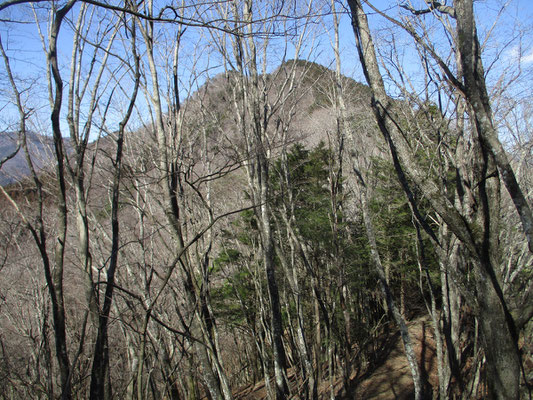 振り返れば、先程の鳥ノ胸山がきれいな双耳峰