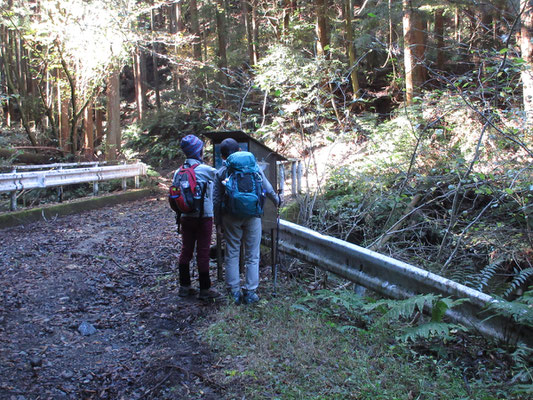 登山口「道の入」にはヒル対策用のボックスが置かれている　下の方はいつもジメジメ濡れていて、ヒルの温床　冬以外は要注意の場所だ