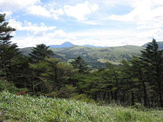 振り返ると、蓼科山が見えてきた
