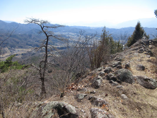 やおら腰を上げて、再び痩せ尾根の下山開始