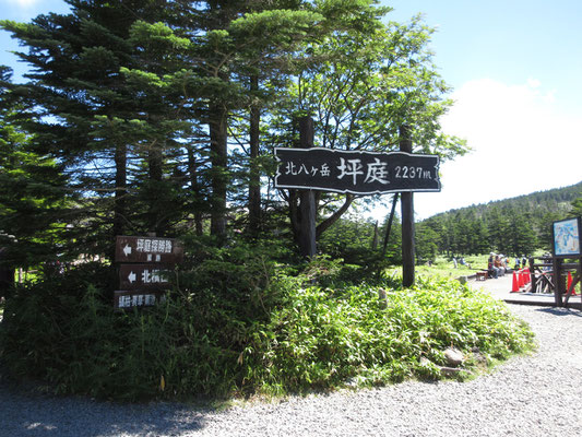 一気に坪庭へ　涼風が吹き抜ける〜♬