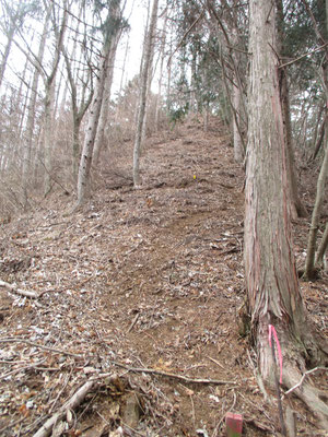 棚ノ入山に向けての最後の急登