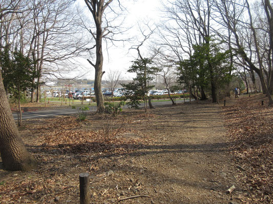 朝はまだまばらだった車も下山時には満車　近くにこんな里山的な低山があったら散歩コースに最適だろう