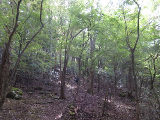 しばらく登りが続く