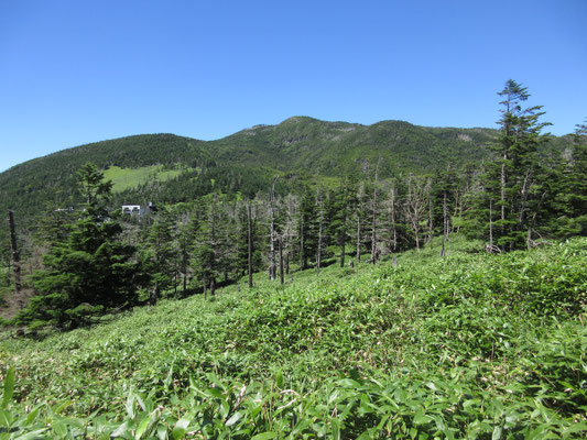 振り返れば北横岳方面の山容がカッコいい！