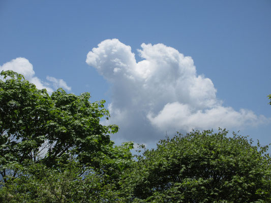 夏のような雲がもくもく