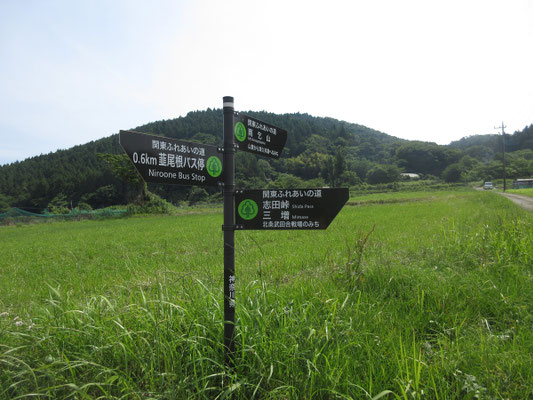関東ふれあいの道は道標がきちんとしているというか、とても多い
