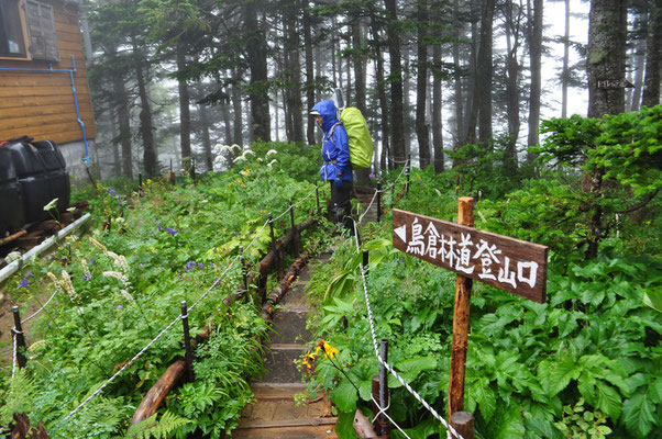 準備万端で下山開始！