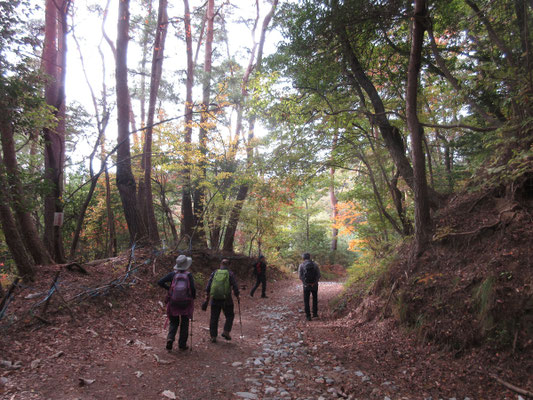 下山もゆったり、のんびり
