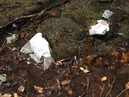 沢の水は温泉の影響で石灰分がおおいらしく、川石が真っ白くなっている