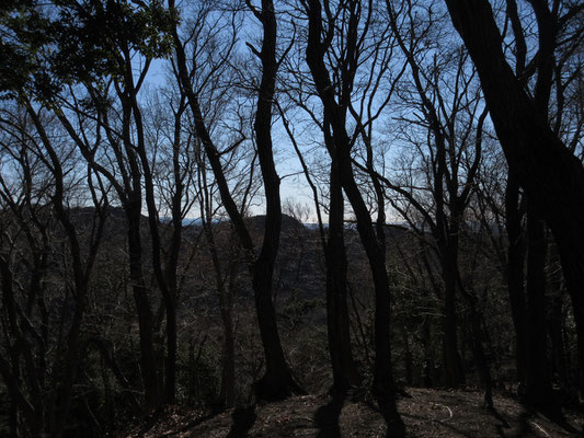 後ろを振り返ると、相模湾が光っているのが見えた