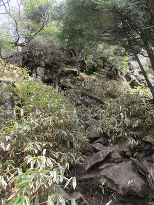 コースタイムでは２時間近く岩場の登りがつづくようでしたが、それより随分早く最後の稜線への急登の所にこぎつきました