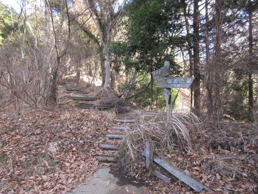 しばらく行くといよいよ登りになる　ここが谷峨駅と山北駅への分岐のようだ