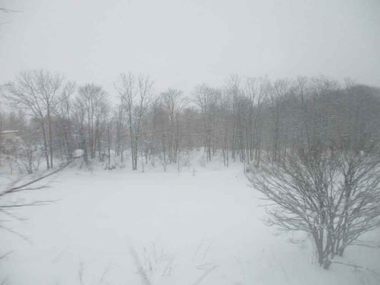 北海道から別れる頃には、吹雪いていました　