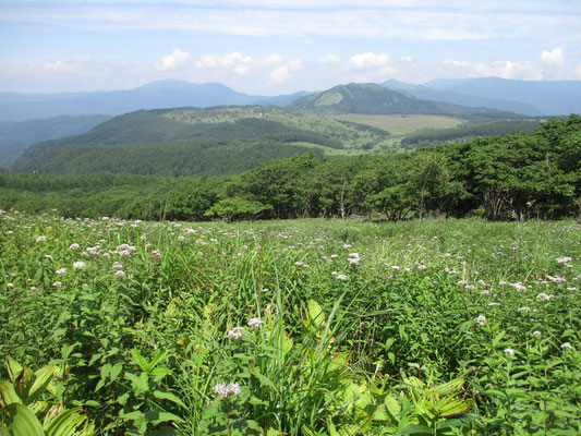 進んでいくとジオラマのように八島湿原や鷲ヶ峰が向こうに見える　手前の花はヨツバヒヨドリ