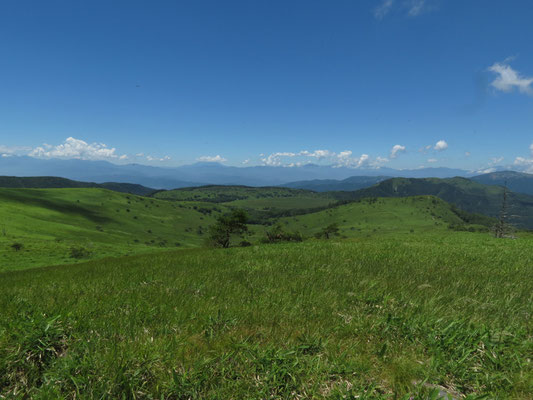 霧ヶ峰の高原の向こうには北アルプス