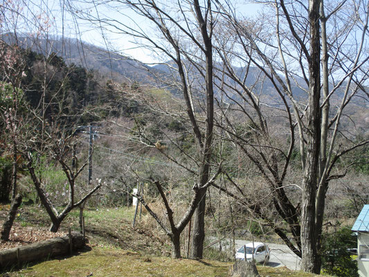 館山からの眺め　これも冬枯れの今の時期までの眺め