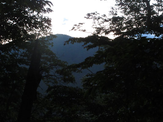 朝一番に見えた向こうの山　山の景色を見たのは前日から初めて