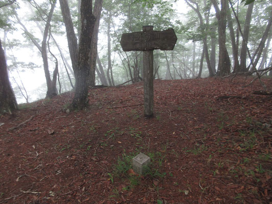 小広い山頂に到着