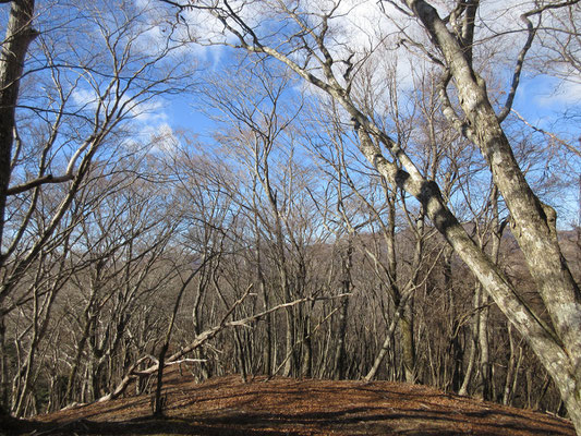 こんな山道をゆっくり下っていくのは、幸せな時間