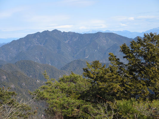 正面に見えるのが三ツ瀬明神山　この山、昨年東栄町・御園の神野山の帰りに反対側から描いたことに気づく