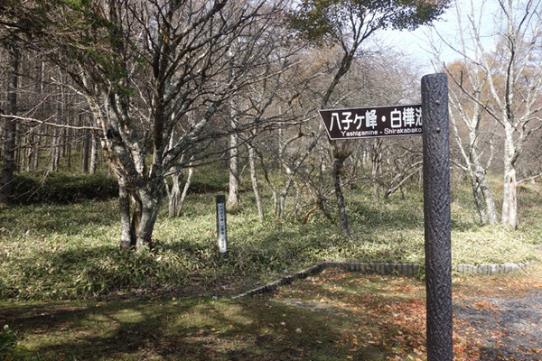 一般の登山者が多く使う「すずらん峠」の駐車場から出発　今では白樺湖にあったタクシーがなくなってしまった為、自前で車を二台用意し、下山口に置いておかないと縦走が叶わなくなってしまった