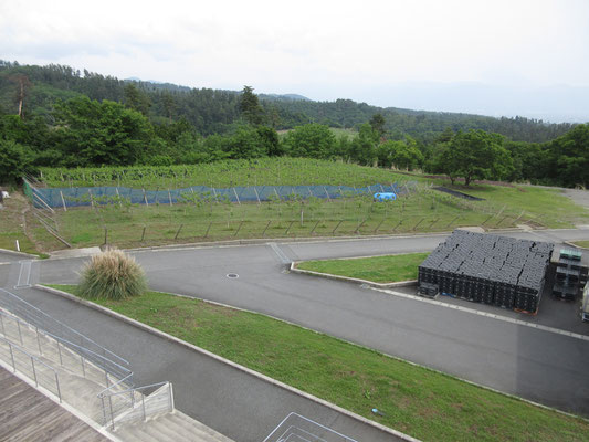 反対側には畑が広がる　山もグルリ見渡せるが、残念ながら茫漠として今ひとつ（表示板では富士山以外はほとんど登ったことのある山だった）